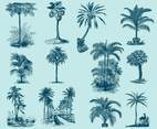 Blue Palm Illustrations