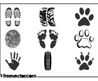 Prints And Traces Vector Set