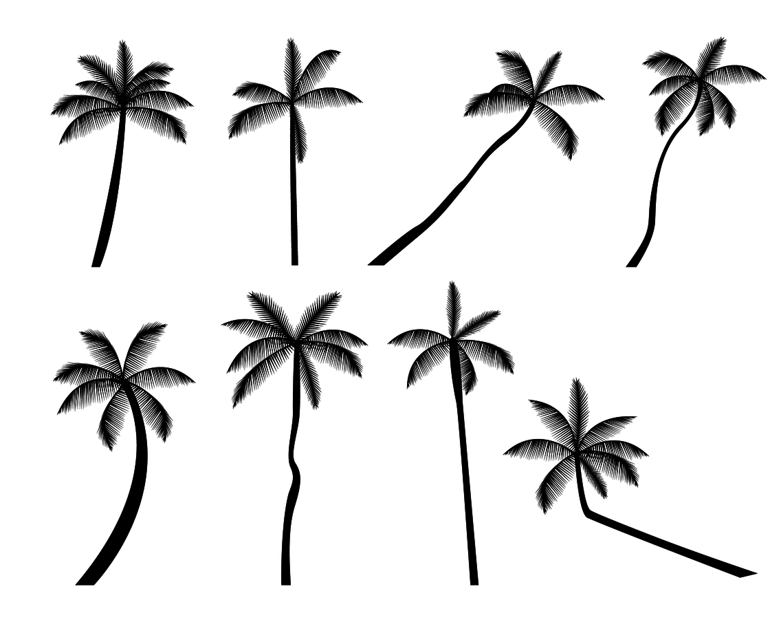 Free Palm Tree Silhouette Vector