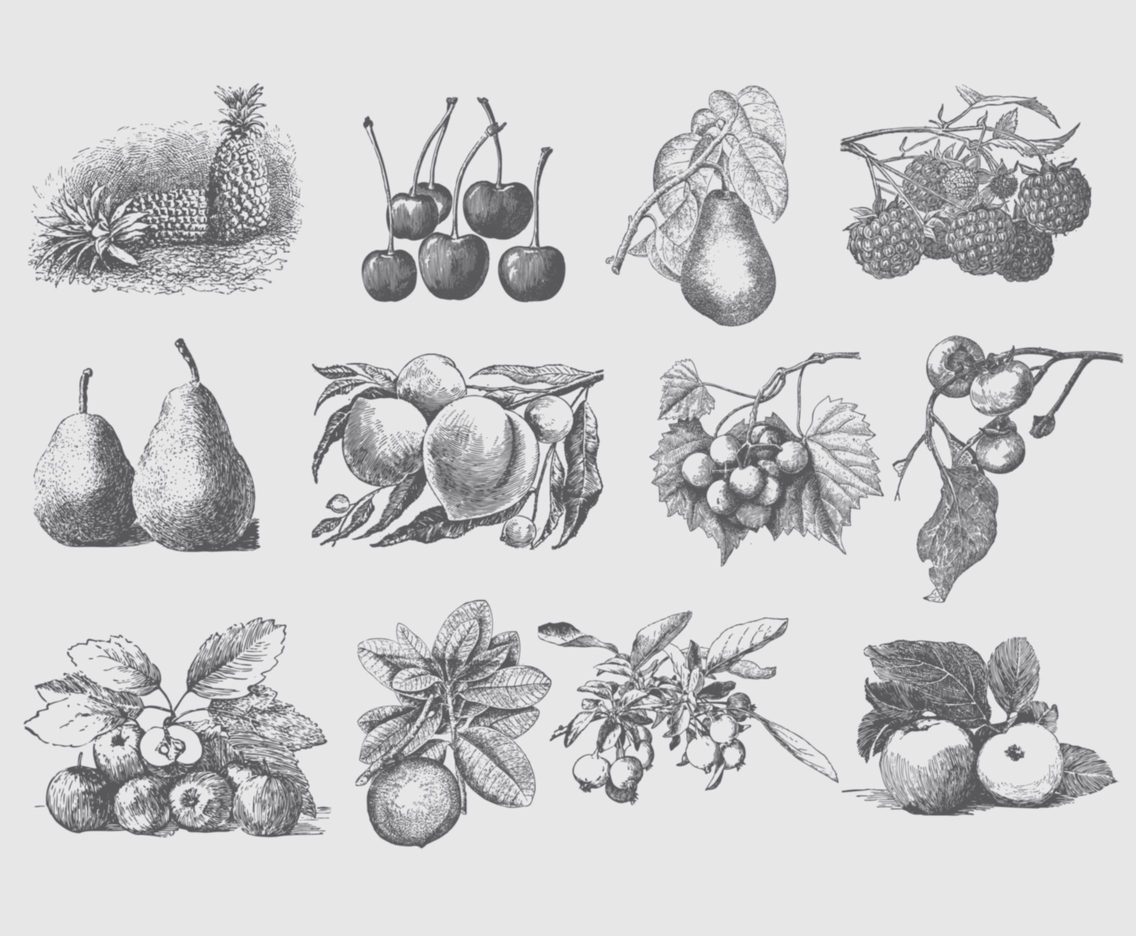 Gray Vintage Fruit Illustrations