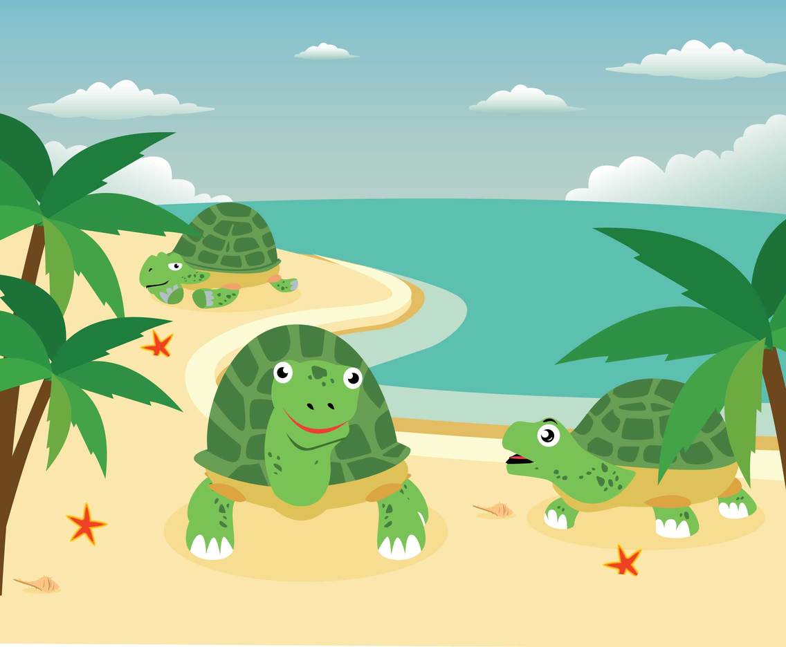 Beach Cartoon Turtle Illustration