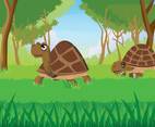 Free Cartoon Turtle