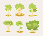 Tree Illustration Vector