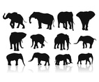 Vector Of Elephants silhouettes 