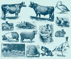Blue Farm Animal Illustrations