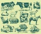 Green Farm Animal Illustrations