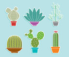 Cactus Collection Vector