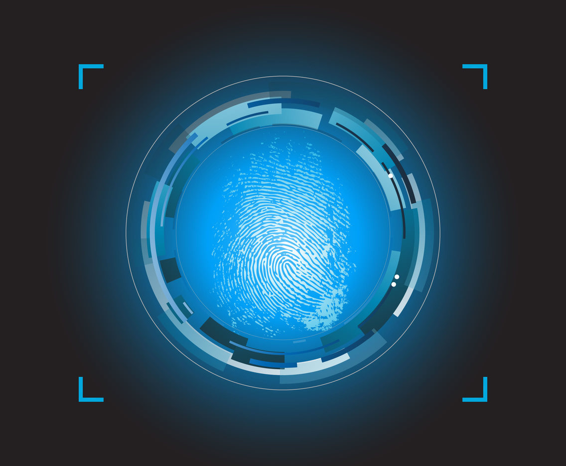 Fingerprint identification system security
