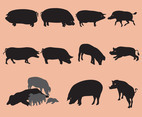 Pig And Wildpig Silhouettes
