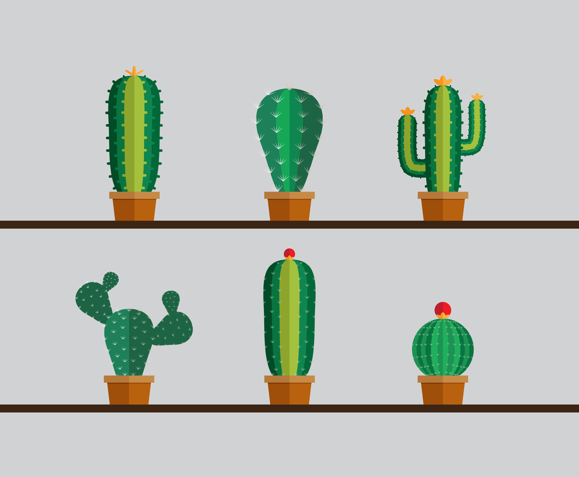 Free Vector, Cute cactus collection in flat design