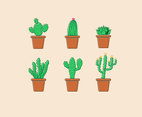 Potted Succulent Vector
