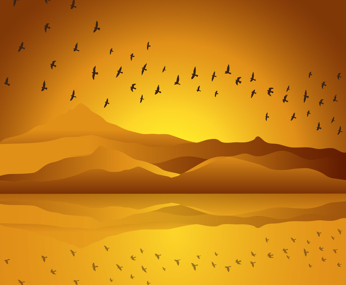 Sunset with bird silhouette
