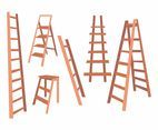 Ladder Vector