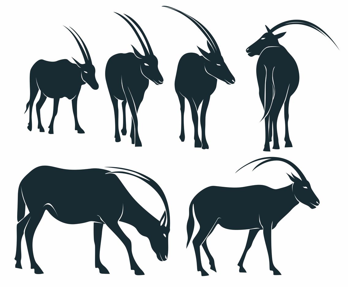 Oryx Vector