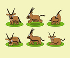 Six Oryx Character