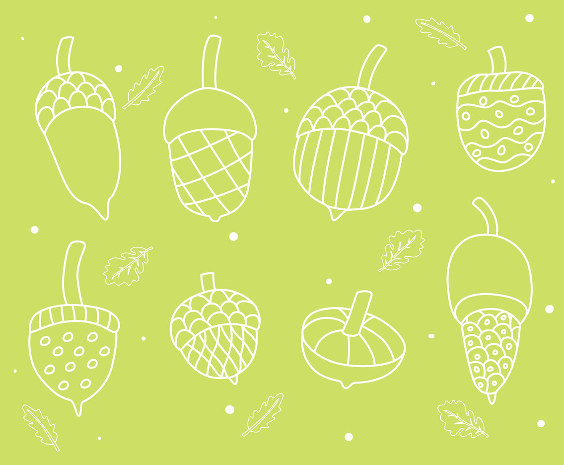 Hand Drawn Acorn Collection Vector