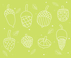 Hand Drawn Acorn Collection Vector