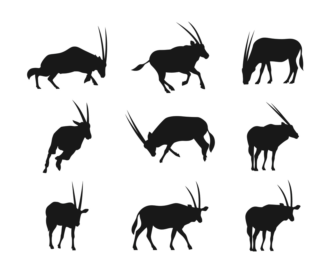 Oryx Silhouettes