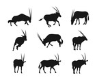Oryx Silhouettes