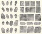 Black Fingerprints