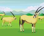Free Oryx illustration