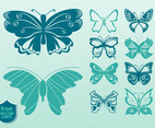 Vector Butterflies Images
