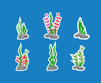 Six Seaweed Design 
