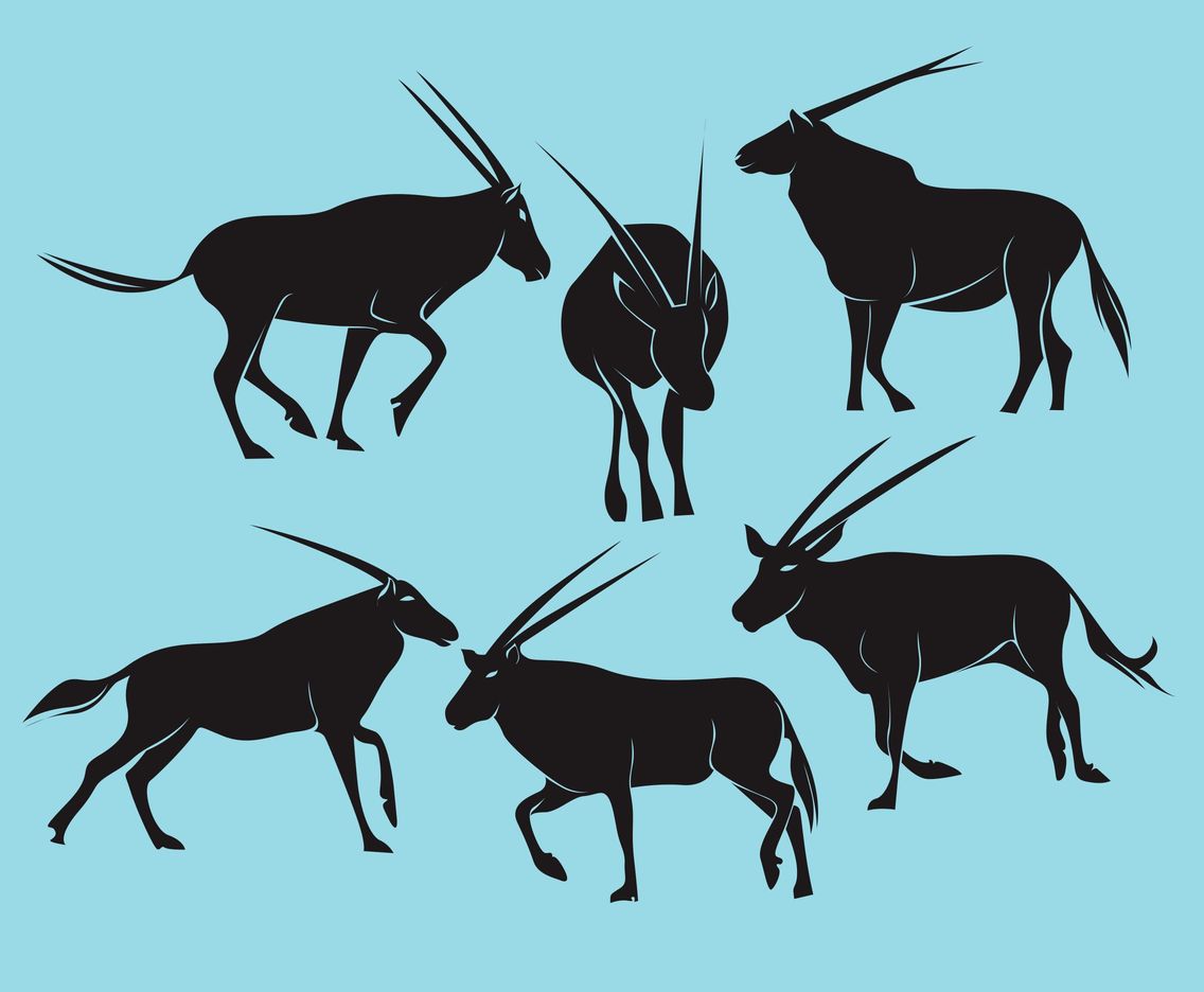 Oryx Vector