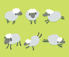 Cartoon Sheep Vector