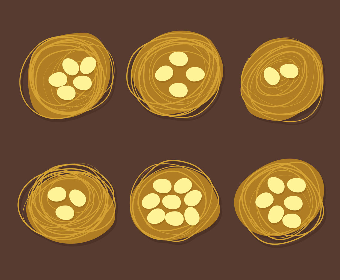Egg Nest Collection Vector Set