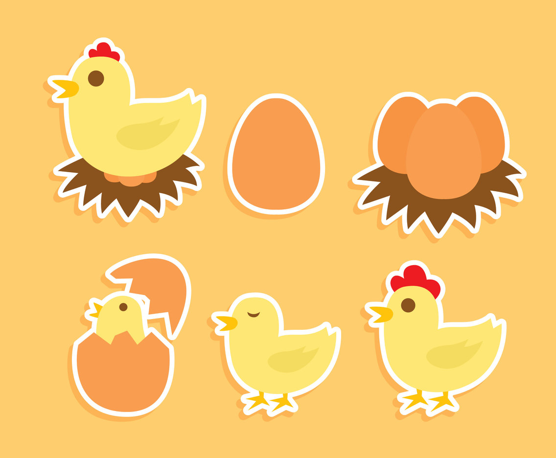 Chicken Egg Vector Set