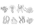 Seaweed Hand Drawn