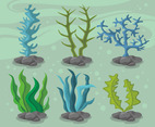 Seaweed Vector Design