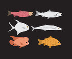 Fish illustration Vector