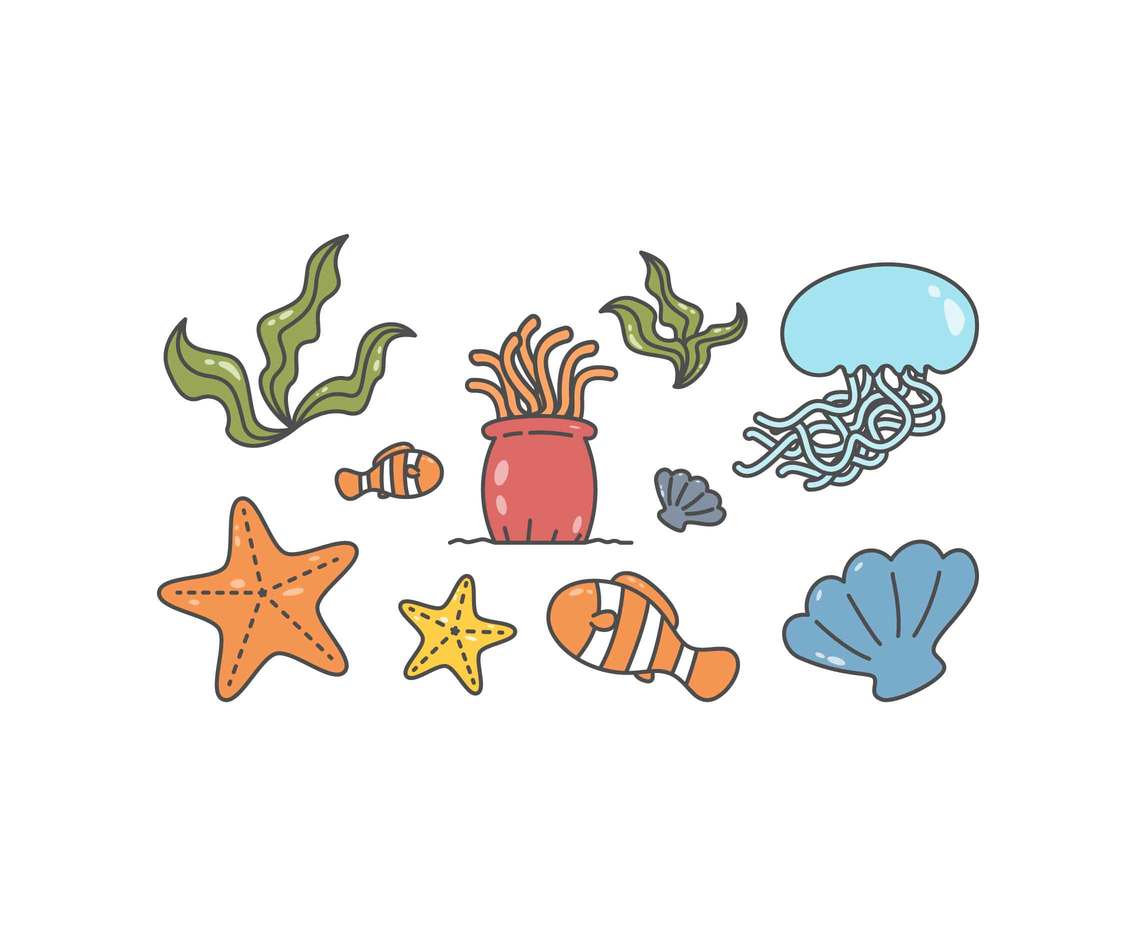 Free Coral Reef Vectors