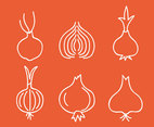 Onion Line Icons Vector