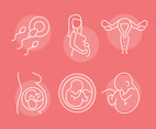 Pregnant Line Icons Vector Sets