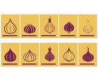 Icon symbol set of onions