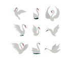 Set of Swans