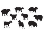Sheep vector set silhouette
