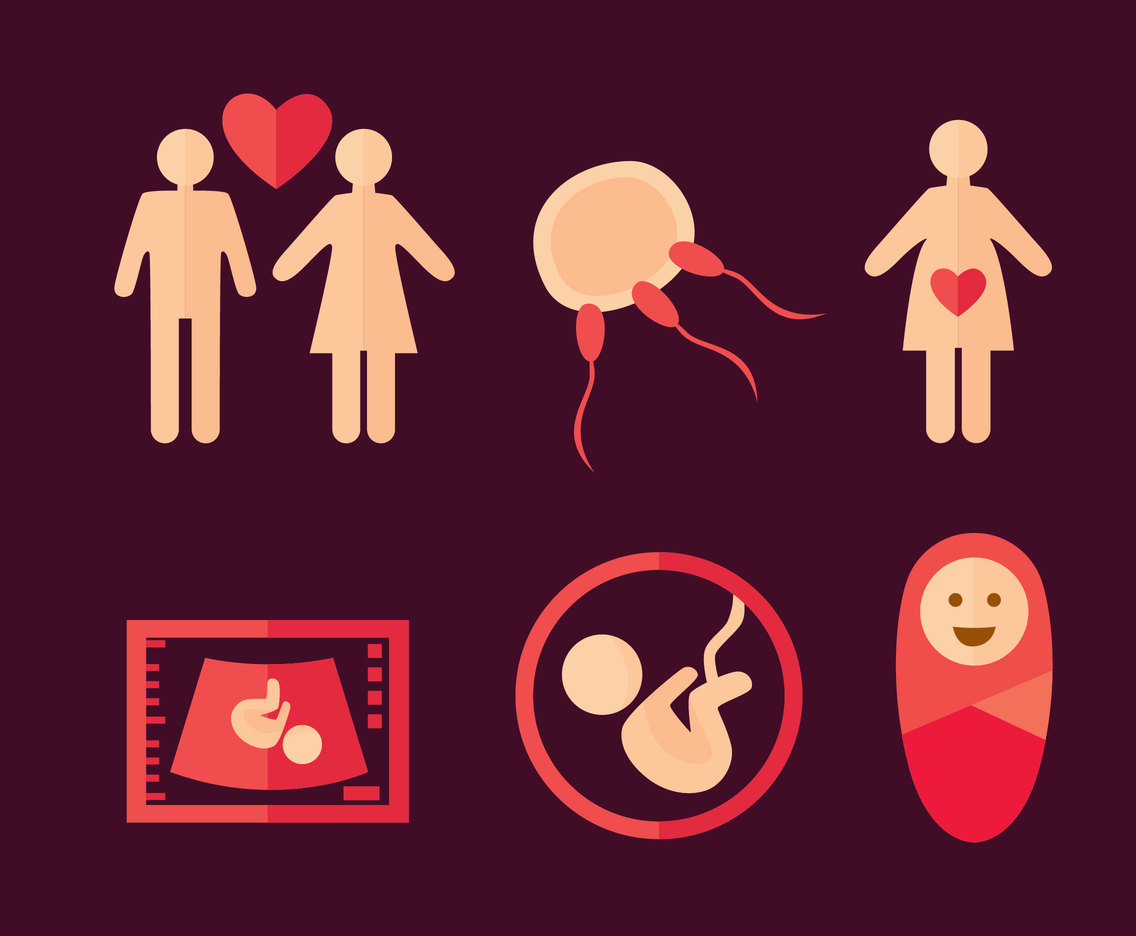 Flat Pregnant Element Vector