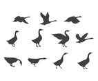 Vector Set of Swan Silhouettes
