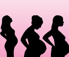 Pregnancy Vectors