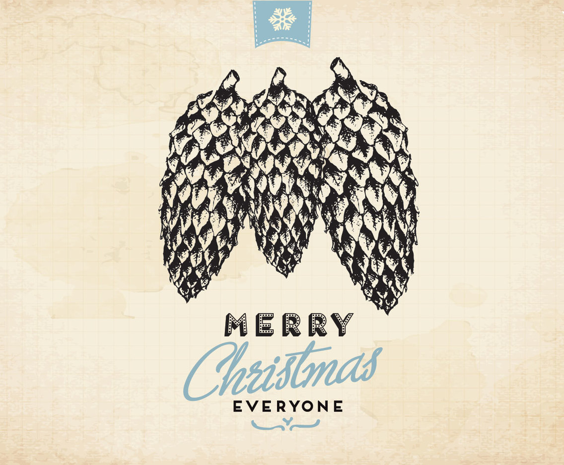Aged Pine Cone Illustration Vector