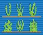 Seaweed vector