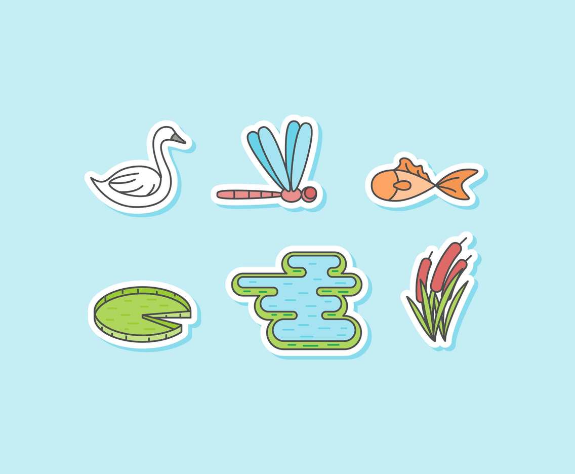 Free Swan Lake Vectors