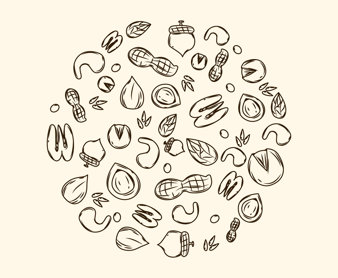 Sketch Of Various Nuts Vector