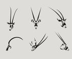 Oryx Head Vector