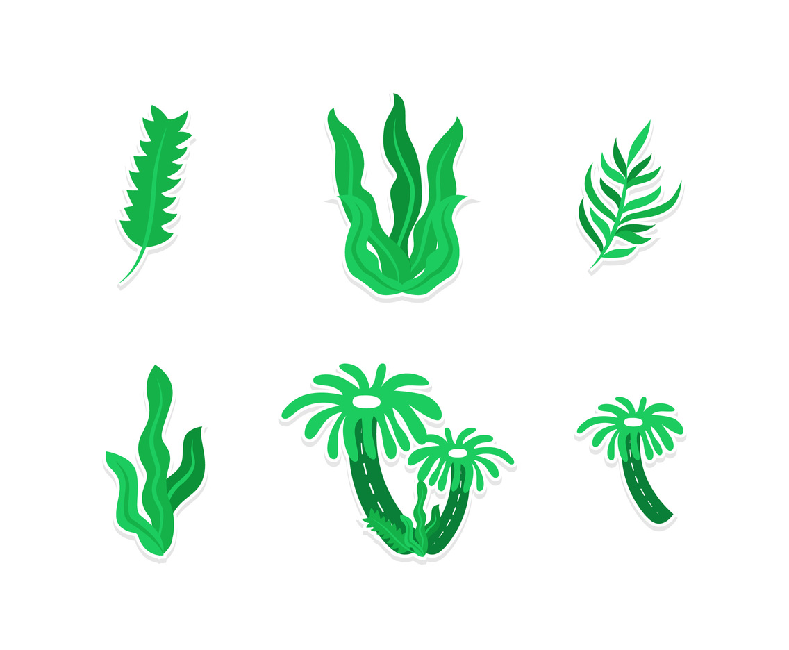 Six Green Seaweed Sticker