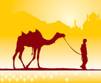 Boy and camel